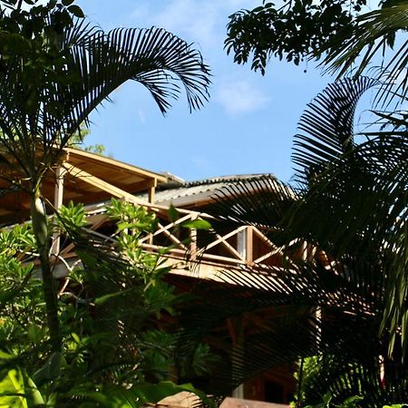 Eden Jungle Lodge โบกัสทาวน์ ภายนอก รูปภาพ