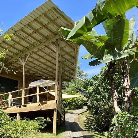 Eden Jungle Lodge โบกัสทาวน์ ภายนอก รูปภาพ