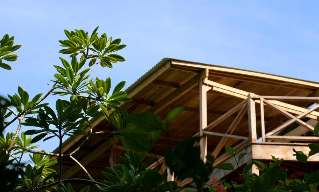 Eden Jungle Lodge โบกัสทาวน์ ภายนอก รูปภาพ