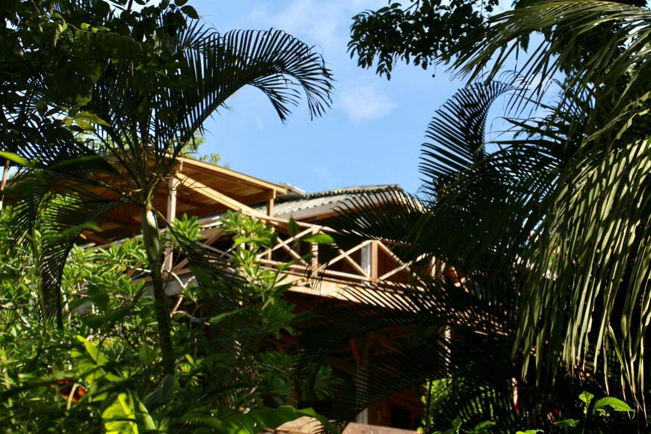 Eden Jungle Lodge โบกัสทาวน์ ภายนอก รูปภาพ