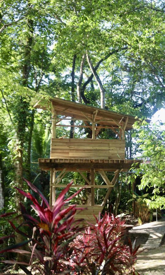 Eden Jungle Lodge โบกัสทาวน์ ภายนอก รูปภาพ