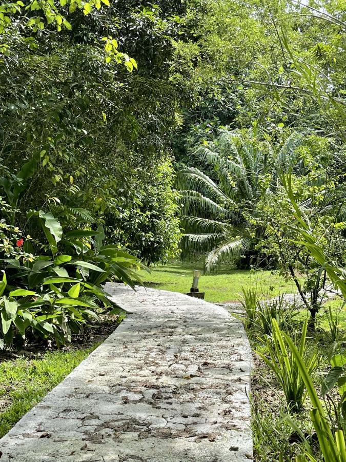Eden Jungle Lodge โบกัสทาวน์ ภายนอก รูปภาพ