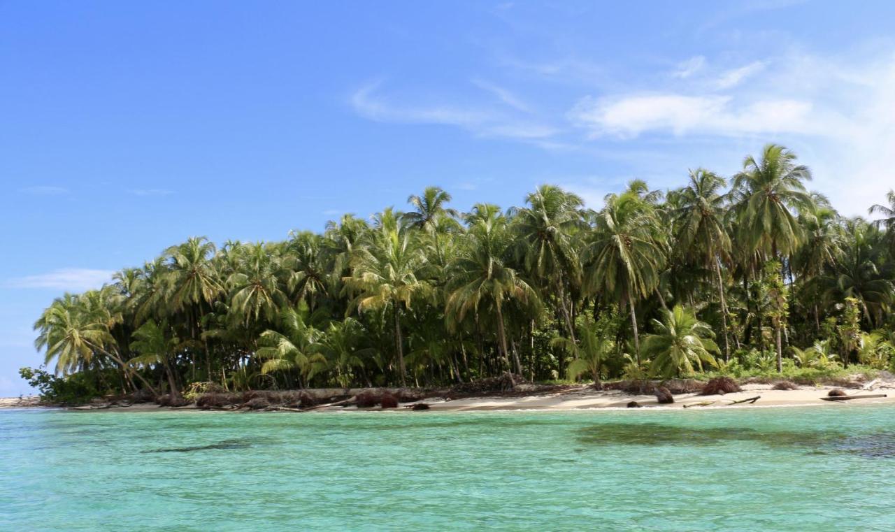 Eden Jungle Lodge โบกัสทาวน์ ภายนอก รูปภาพ