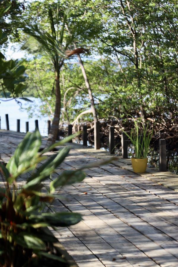 Eden Jungle Lodge โบกัสทาวน์ ภายนอก รูปภาพ