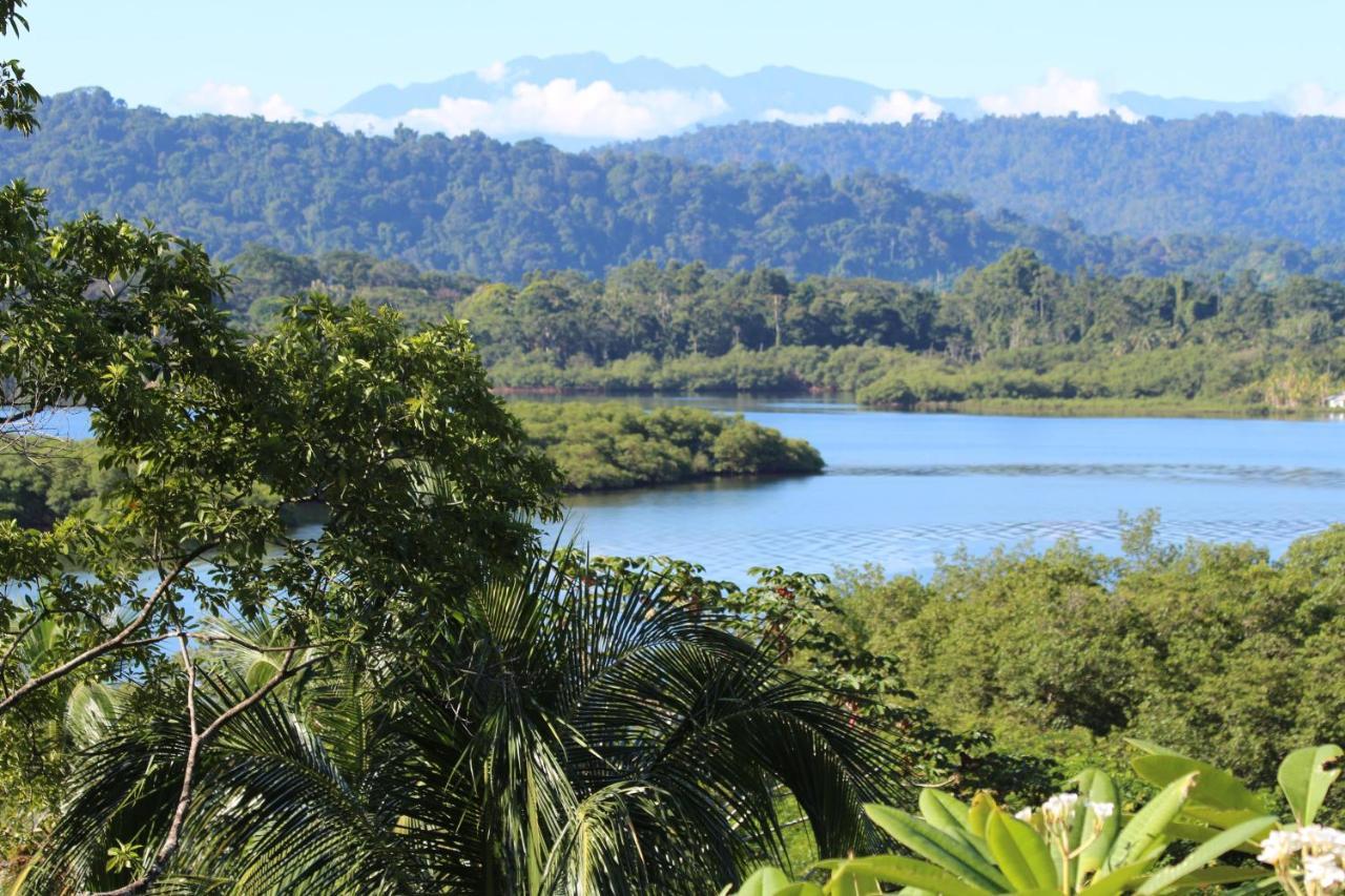 Eden Jungle Lodge โบกัสทาวน์ ภายนอก รูปภาพ