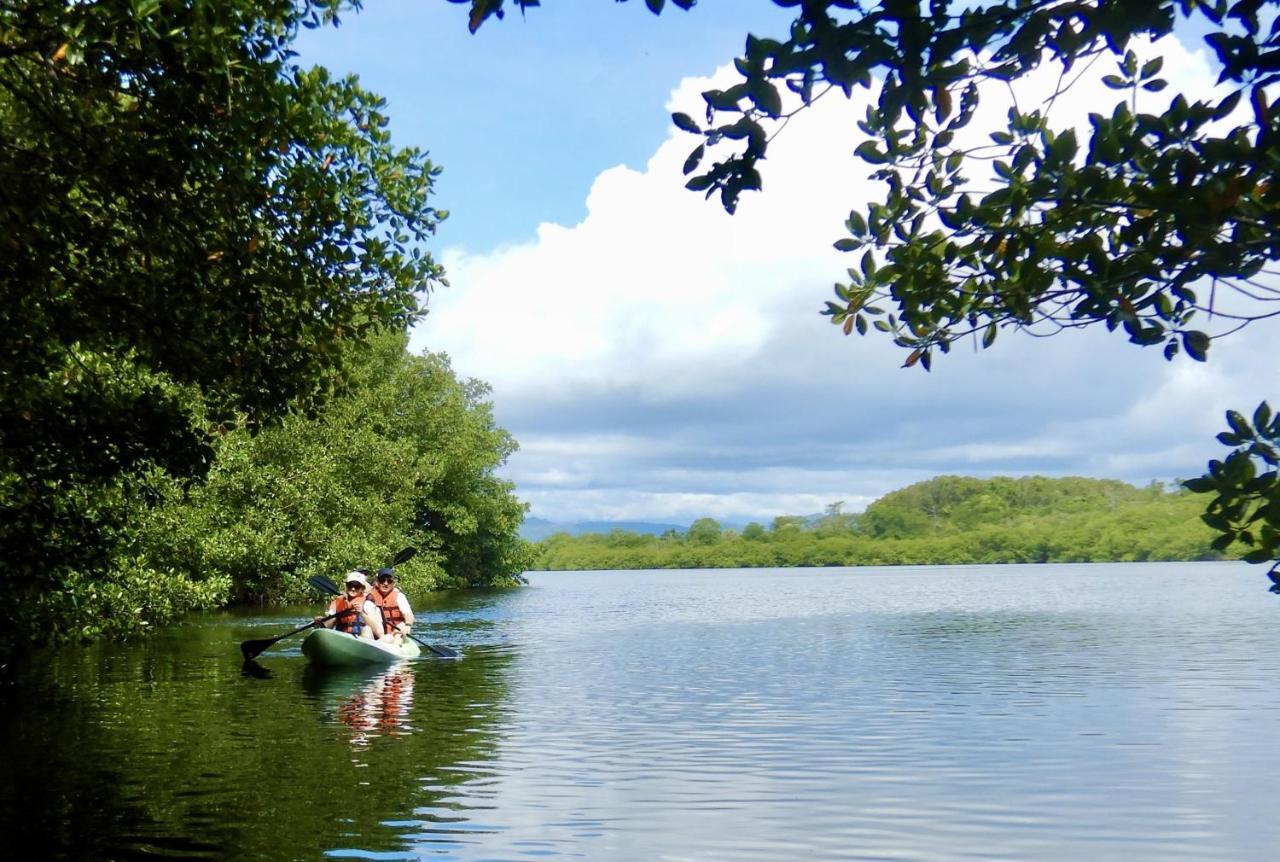 Eden Jungle Lodge โบกัสทาวน์ ภายนอก รูปภาพ