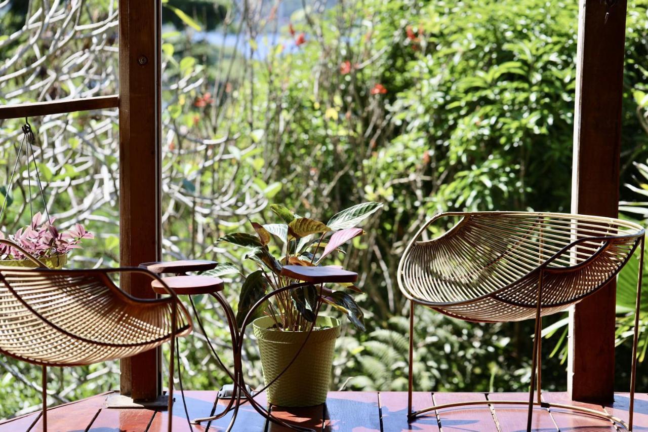 Eden Jungle Lodge โบกัสทาวน์ ภายนอก รูปภาพ