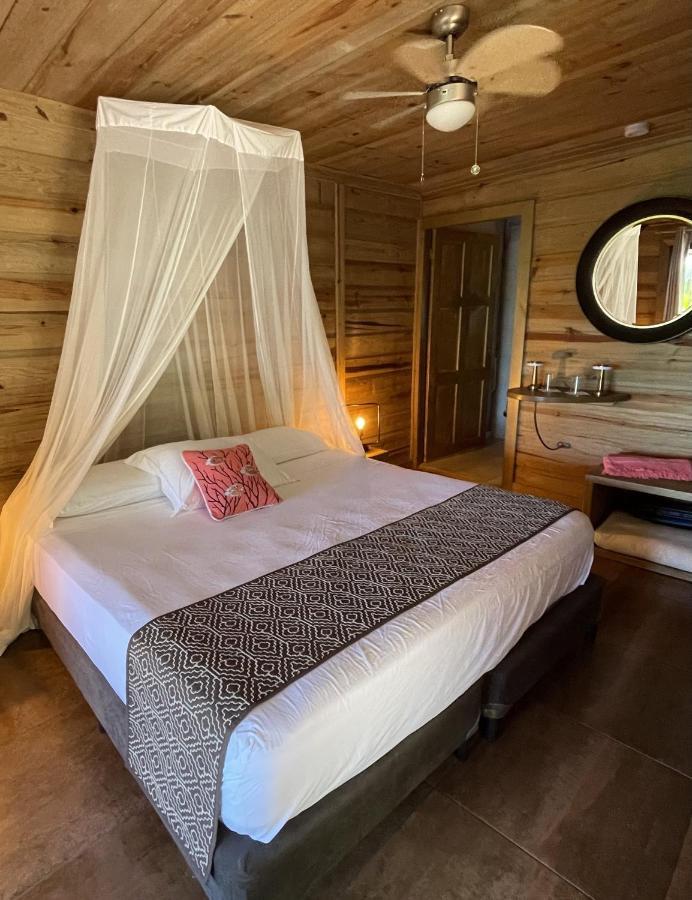 Eden Jungle Lodge โบกัสทาวน์ ภายนอก รูปภาพ