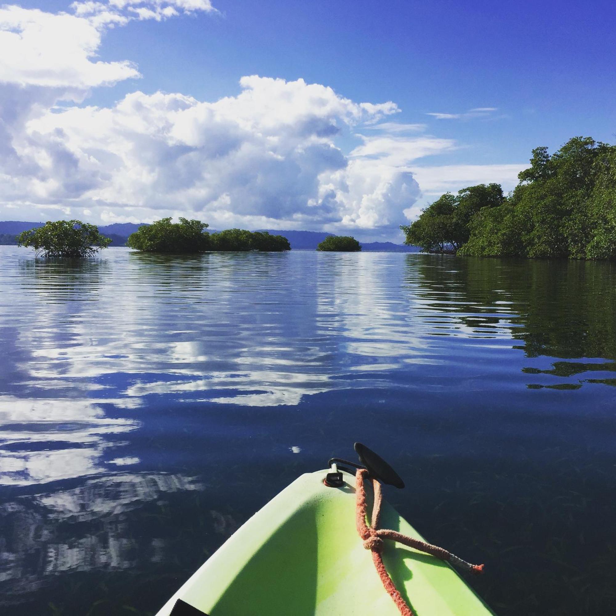Eden Jungle Lodge โบกัสทาวน์ ภายนอก รูปภาพ