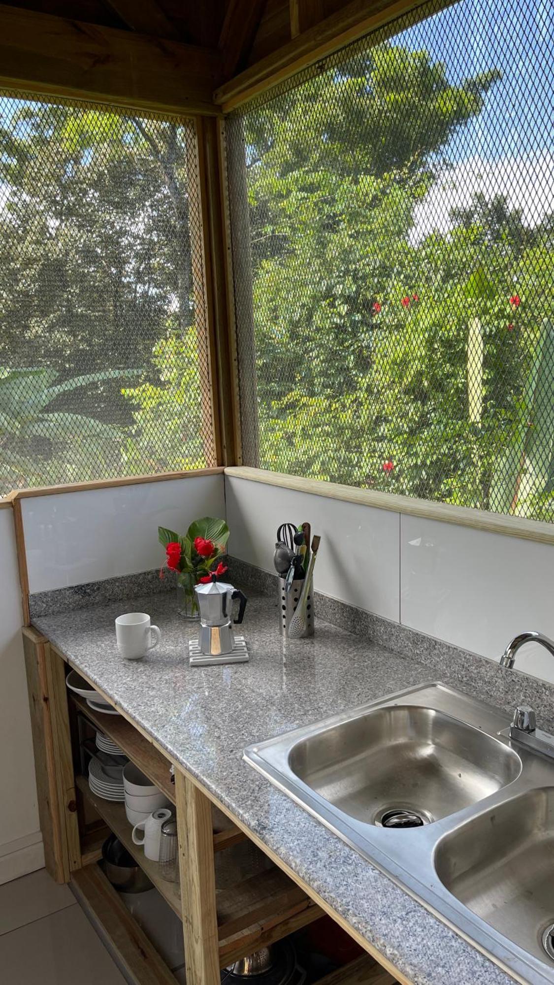 Eden Jungle Lodge โบกัสทาวน์ ภายนอก รูปภาพ