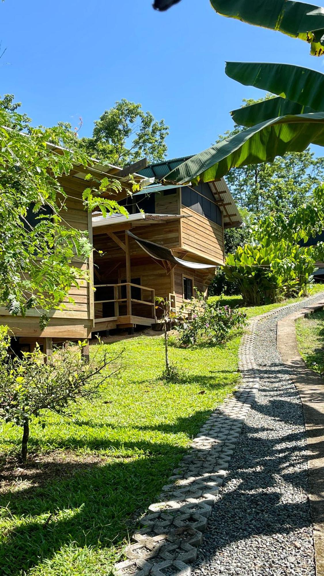 Eden Jungle Lodge โบกัสทาวน์ ภายนอก รูปภาพ