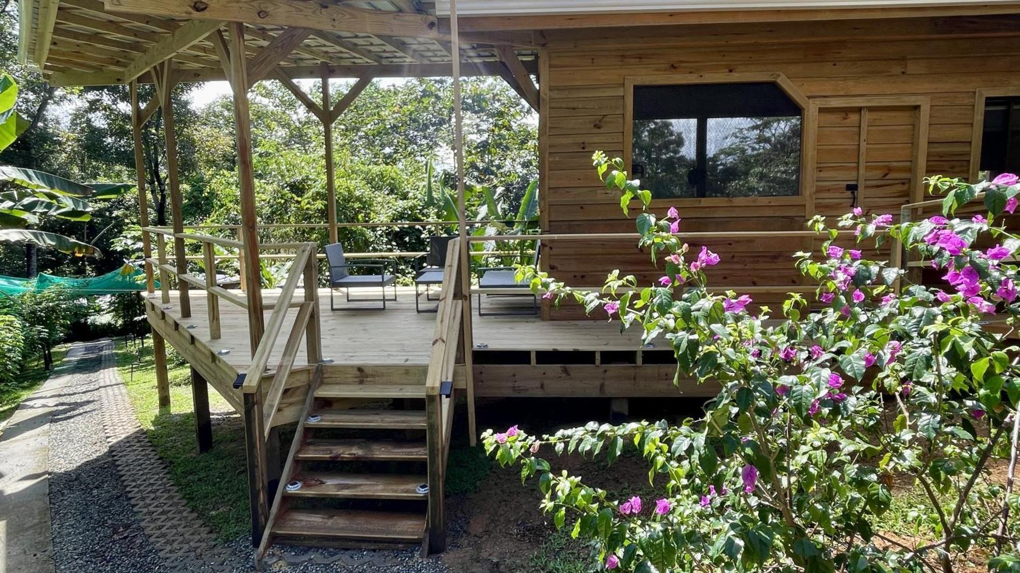 Eden Jungle Lodge โบกัสทาวน์ ภายนอก รูปภาพ