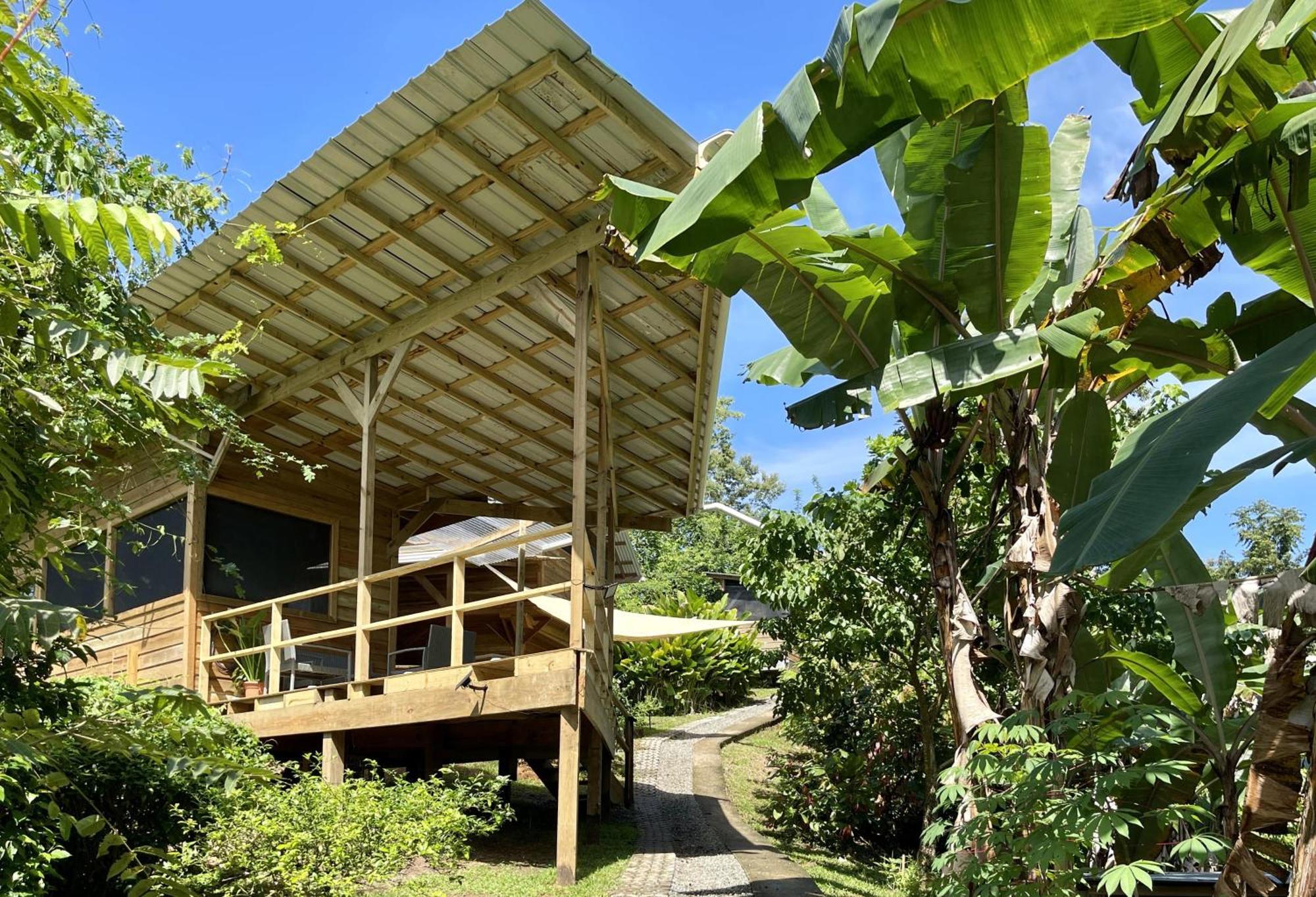 Eden Jungle Lodge โบกัสทาวน์ ภายนอก รูปภาพ