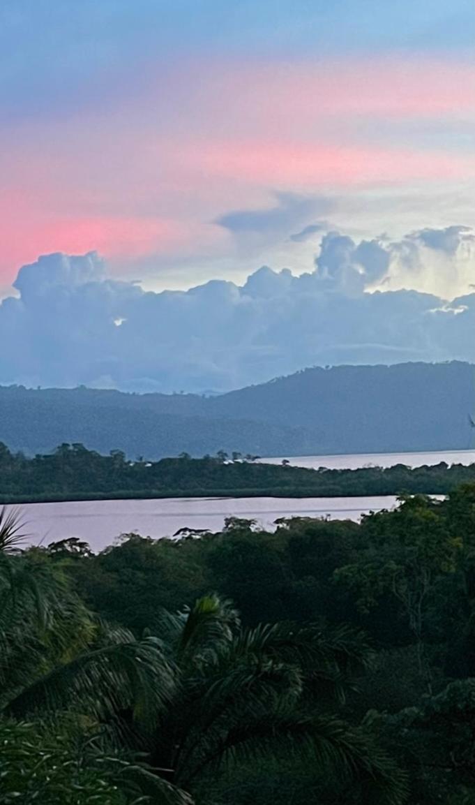Eden Jungle Lodge โบกัสทาวน์ ภายนอก รูปภาพ