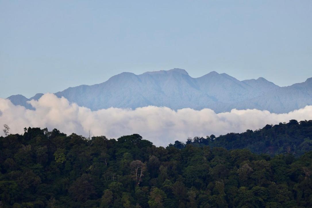 Eden Jungle Lodge โบกัสทาวน์ ภายนอก รูปภาพ